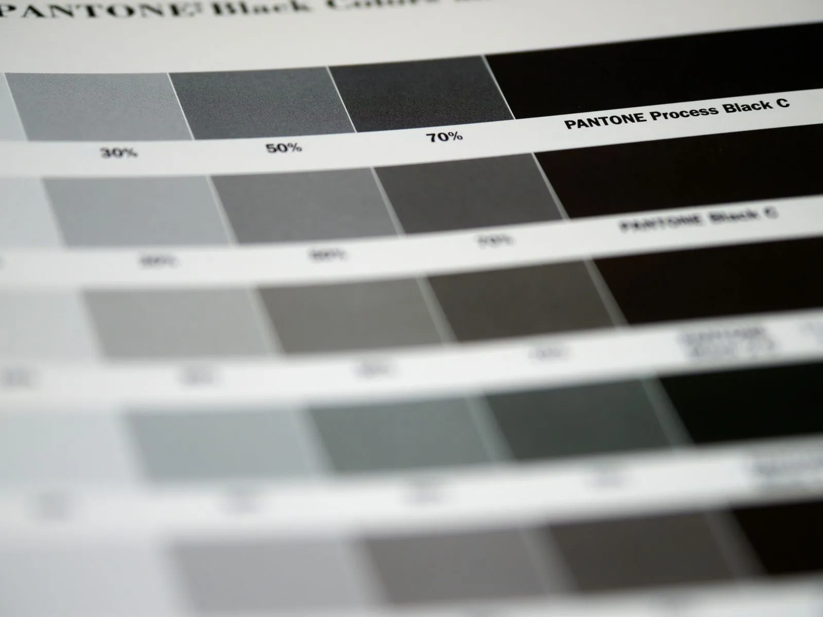 Choosing Print or Digital Design